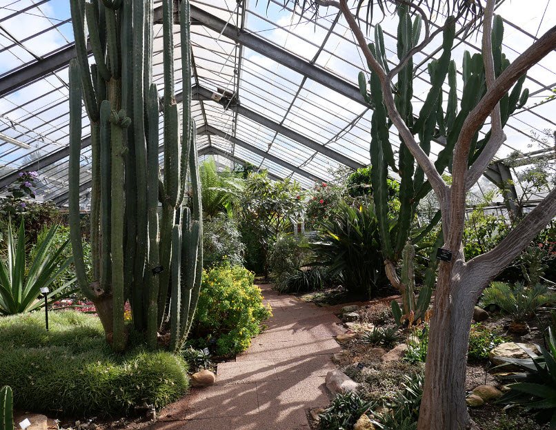 University of Dundee Botanic Garden, United Kingdom